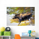 Female Moose Running Through Woods Wall Mural