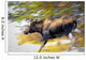 Female Moose Running Through Woods Wall Mural