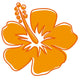 Hibiscus 3