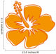 Hibiscus 3