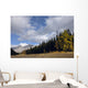 Storm Clouds Over Queen Elizabeth Range In Fall Wall Mural