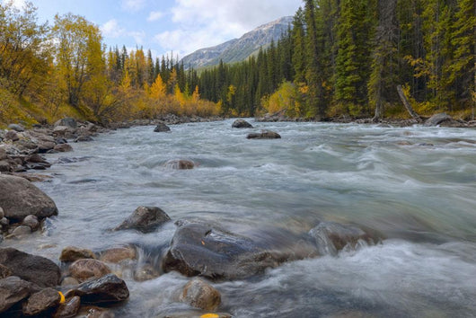 Autumn Colors Over Splashing Maligne River Wall Mural