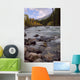Autumn Colors On Maligne River, Jasper National Park, Alberta Wall Mural