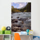 Autumn Colors On Maligne River, Jasper National Park, Alberta Wall Mural