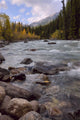 Autumn Colors On Maligne River, Jasper National Park, Alberta Wall Mural