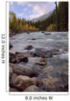 Autumn Colors On Maligne River, Jasper National Park, Alberta Wall Mural