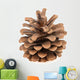 Pine Cone White Wall Decal