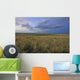 Dusk At Grasslands National Park, Saskatchewan Wall Mural