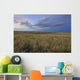 Dusk At Grasslands National Park, Saskatchewan Wall Mural