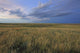 Dusk At Grasslands National Park, Saskatchewan Wall Mural