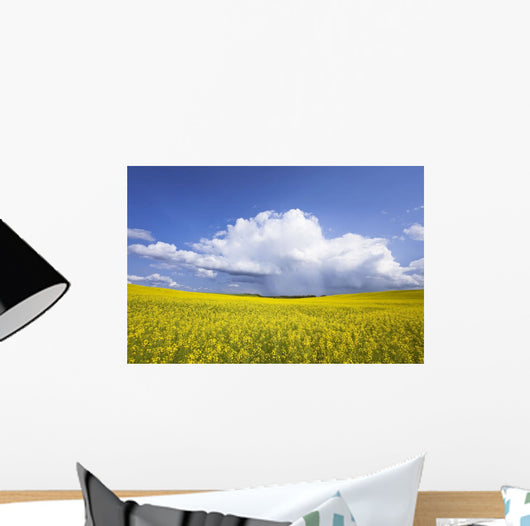 Rainstorm Over Canola Field Crop, Pembina Valley, Manitoba Wall Mural