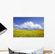Rainstorm Over Canola Field Crop, Pembina Valley, Manitoba Wall Mural