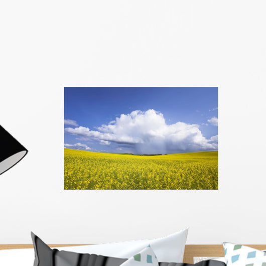 Rainstorm Over Canola Field Crop, Pembina Valley, Manitoba Wall Mural