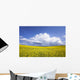 Rainstorm Over Canola Field Crop, Pembina Valley, Manitoba Wall Mural
