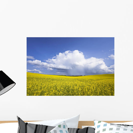 Rainstorm Over Canola Field Crop, Pembina Valley, Manitoba Wall Mural