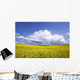 Rainstorm Over Canola Field Crop, Pembina Valley, Manitoba Wall Mural