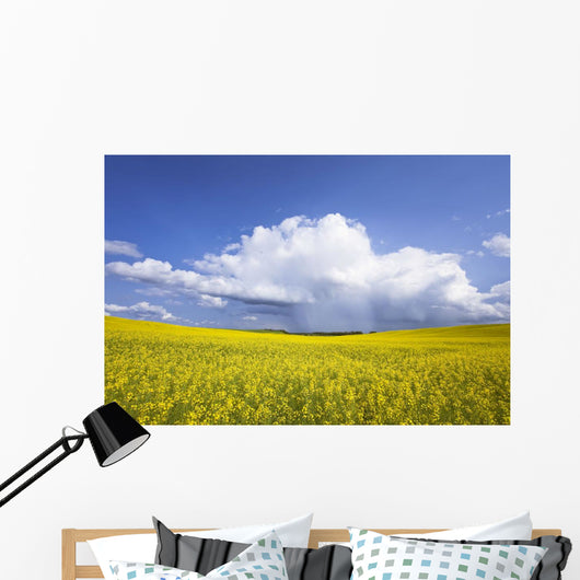 Rainstorm Over Canola Field Crop, Pembina Valley, Manitoba Wall Mural