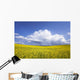 Rainstorm Over Canola Field Crop, Pembina Valley, Manitoba Wall Mural