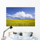 Rainstorm Over Canola Field Crop, Pembina Valley, Manitoba Wall Mural