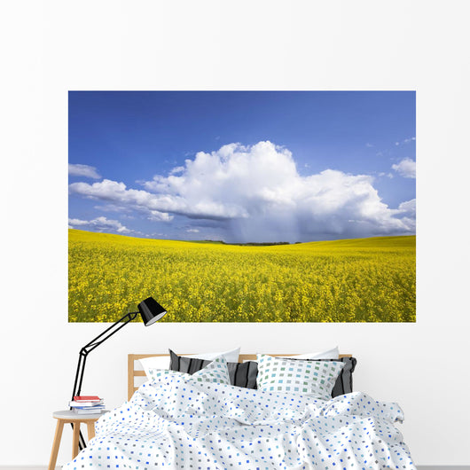 Rainstorm Over Canola Field Crop, Pembina Valley, Manitoba Wall Mural