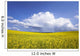 Rainstorm Over Canola Field Crop, Pembina Valley, Manitoba Wall Mural