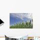 Green Crops Northwest Of Edmonton, Alberta Wall Mural