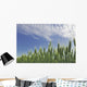 Green Crops Northwest Of Edmonton, Alberta Wall Mural