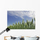 Green Crops Northwest Of Edmonton, Alberta Wall Mural
