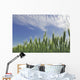 Green Crops Northwest Of Edmonton, Alberta Wall Mural