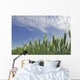 Green Crops Northwest Of Edmonton, Alberta Wall Mural