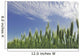 Green Crops Northwest Of Edmonton, Alberta Wall Mural