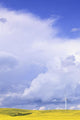 Storm Clouds Over Canola Field With Wind Turbine, St Leon, Manitoba Wall Mural