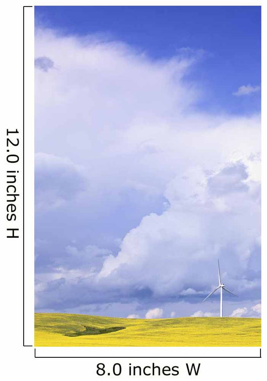 Storm Clouds Over Canola Field With Wind Turbine, St Leon, Manitoba Wall Mural