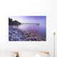Pier And Shoreline Of Lake Winnipeg, Matlock, Manitoba Wall Mural