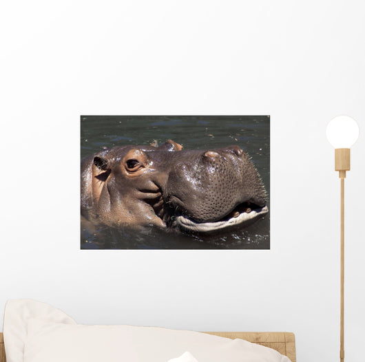 Hippo Wall Mural