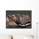 Hippo Wall Mural