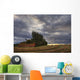 Abandoned Red Barn Against Stormy Evening Sky, Central Alberta Wall Mural