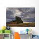 Abandoned Red Barn Against Stormy Evening Sky, Central Alberta Wall Mural