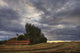 Abandoned Red Barn Against Stormy Evening Sky, Central Alberta Wall Mural