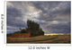 Abandoned Red Barn Against Stormy Evening Sky, Central Alberta Wall Mural
