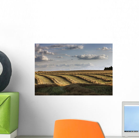 Clouds Over Canola Field On Farm, Central Alberta Wall Mural