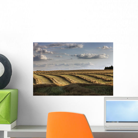 Clouds Over Canola Field On Farm, Central Alberta Wall Mural