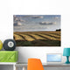Clouds Over Canola Field On Farm, Central Alberta Wall Mural