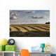 Clouds Over Canola Field On Farm, Central Alberta Wall Mural