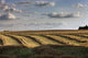 Clouds Over Canola Field On Farm, Central Alberta Wall Mural
