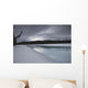 Dark Winter Evening On The Athabasca River In The Canadian Rockies Wall Mural