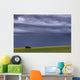 Storm Clouds Over Pasture On Summer Evening, Central Alberta Wall Mural