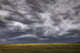 Rolling Storm Clouds Over Prairie, Alberta Wall Mural