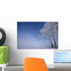 Hoar Frost Covered Poplar Trees On A Foggy Winter Morning Wall Mural
