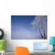 Hoar Frost Covered Poplar Trees On A Foggy Winter Morning Wall Mural